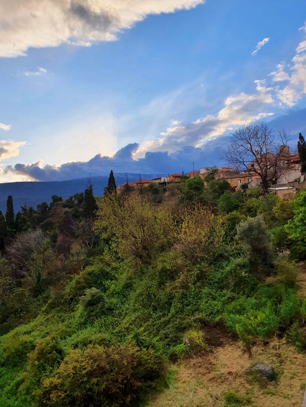 χωριό Κήποι στην Εύβοια, φύση και σπίτια με φόντο συννεφιασμένο ουρανό