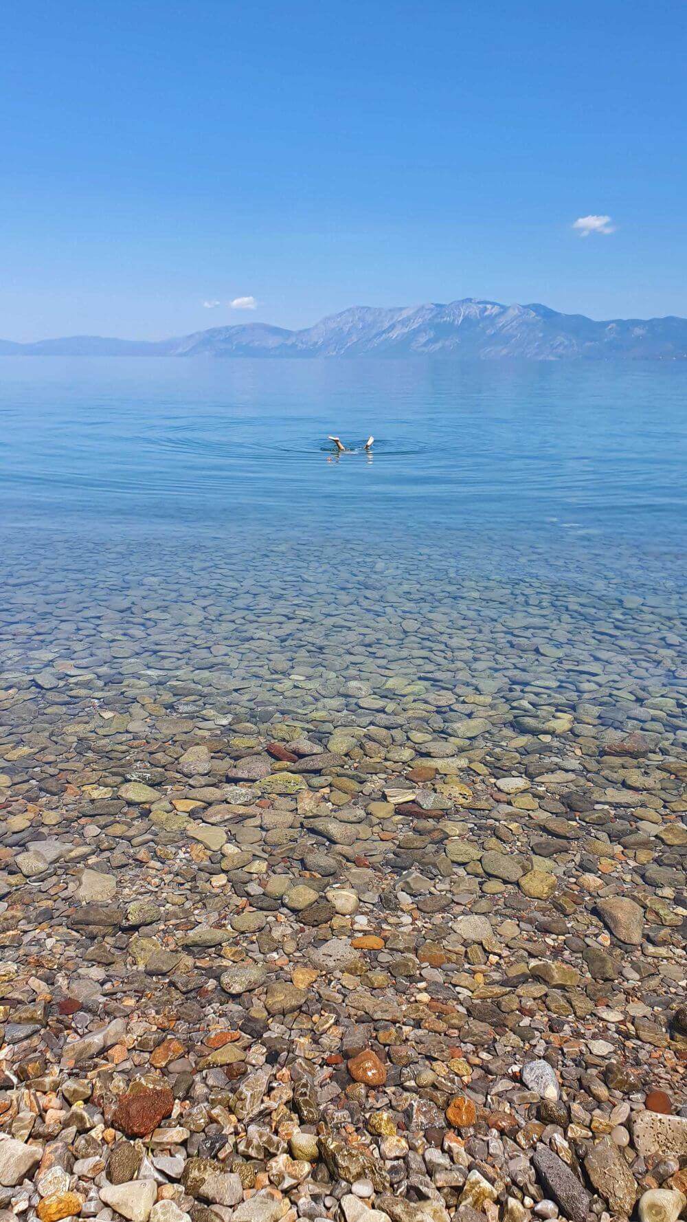 διάφανη θάλασσα, μπροστά στα ρηχα πέτρες, στο φόντο βουνά